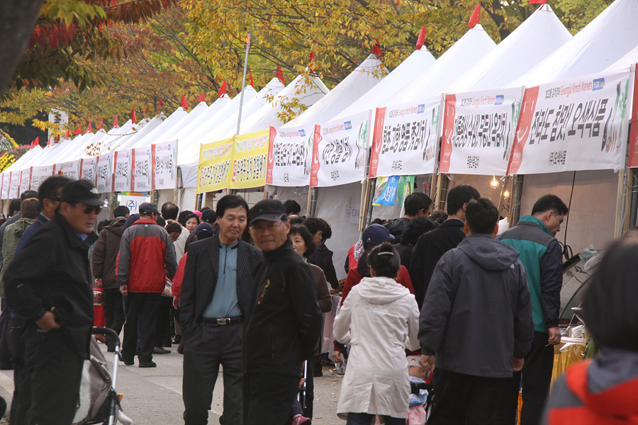 2010 제17회 세계김치문화축제