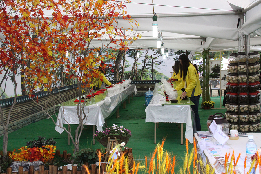 2010 제17회 세계김치문화축제
