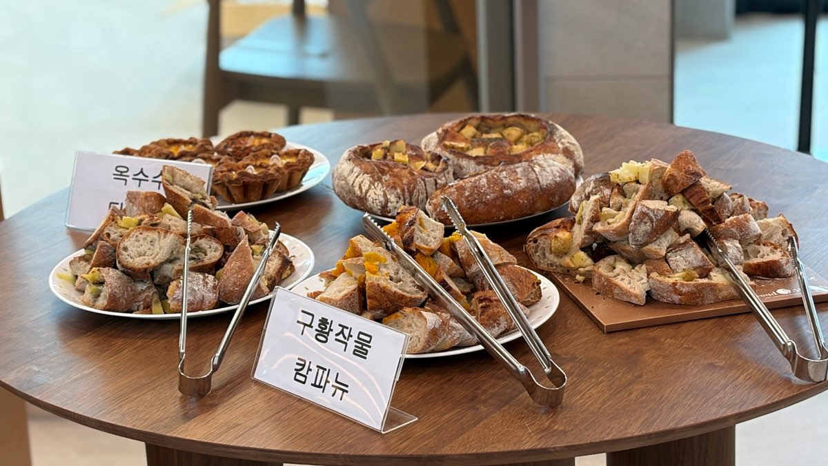 [07.02] 애호박 고로케·구황작물 치아바타·마늘칩 샌드쿠키… 전남광주통합특별시, 지역 농산물 가공 시제품 개발