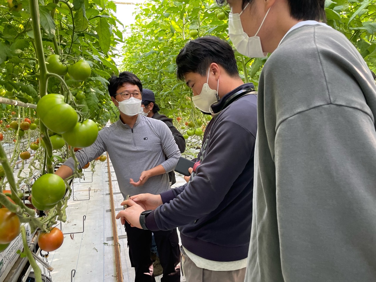 [07.14] 광주시, 재배환경 급변 토마토 전문교육