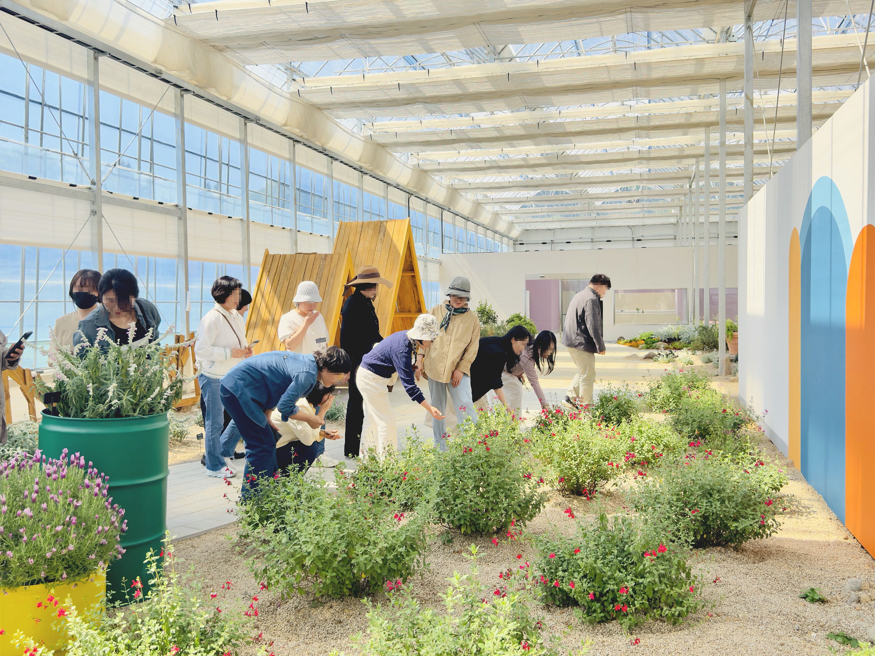 [06.07] 수확하고 향기맡고…광주시민, 치유농업 만족도 96.2점