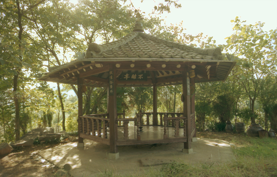 불리정