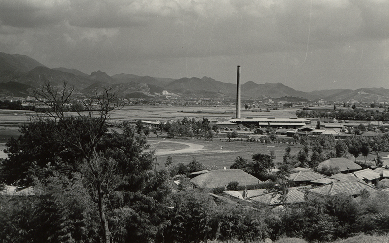 1962 전대부근