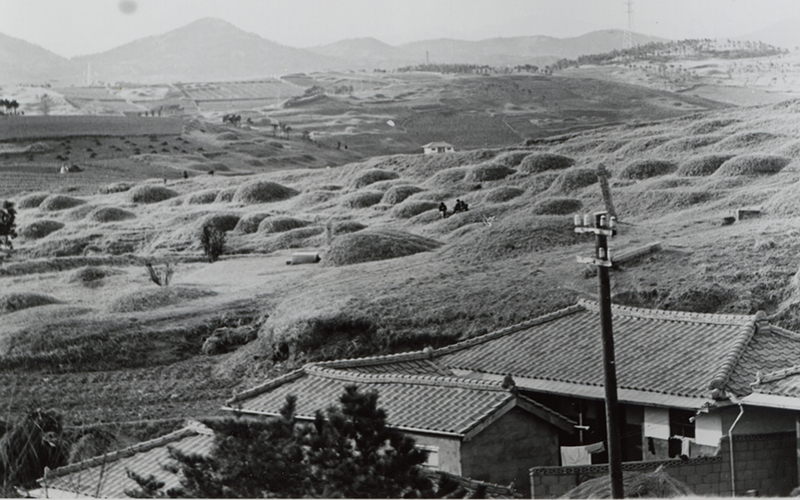 1971 서방